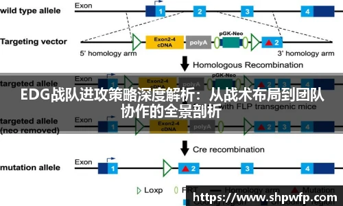 Score电竞下载